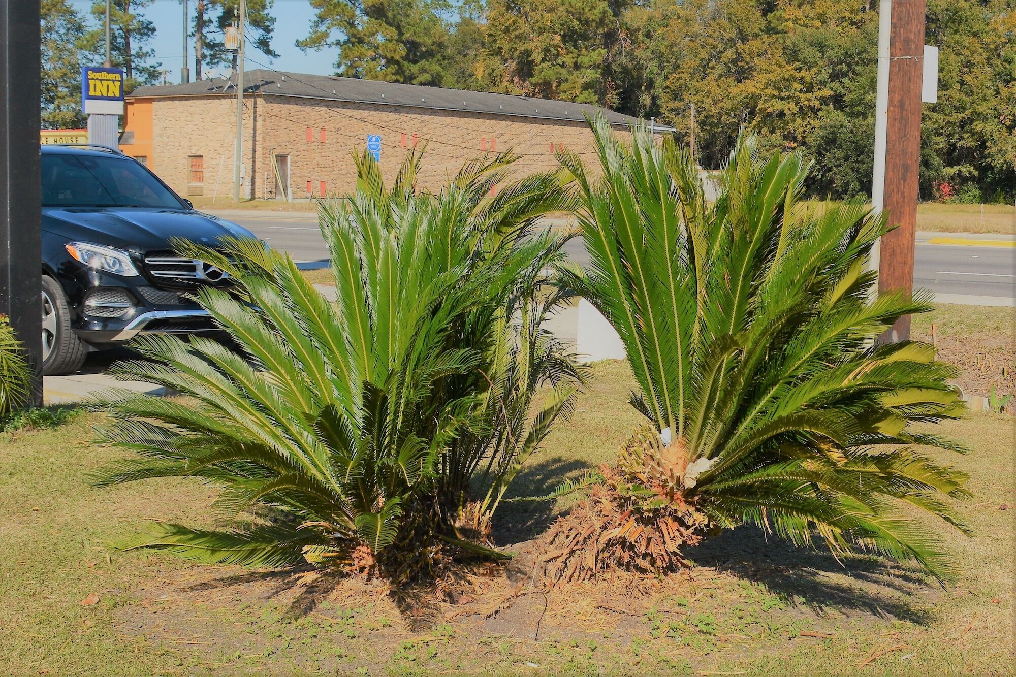 Travelodge By Wyndham Walterboro Exterior photo
